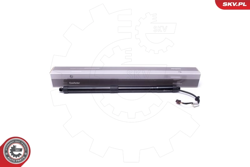 Electric Motor, tailgate